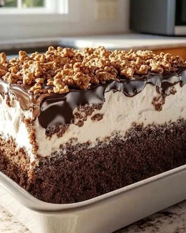 Gâteau Chat Paresseux en couches dans un plat blanc : biscuit au chocolat, crème fouettée, glaçage brillant et crumble doré