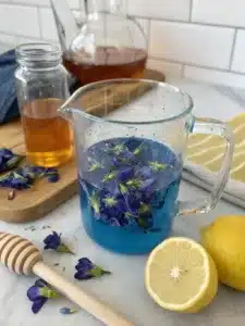 Discover the Brazilian Mounjaro Drink Recipe! A vibrant, healthy drink with Butterfly Pea Flowers, lemon juice, and apple cider vinegar, packed with health benefits.